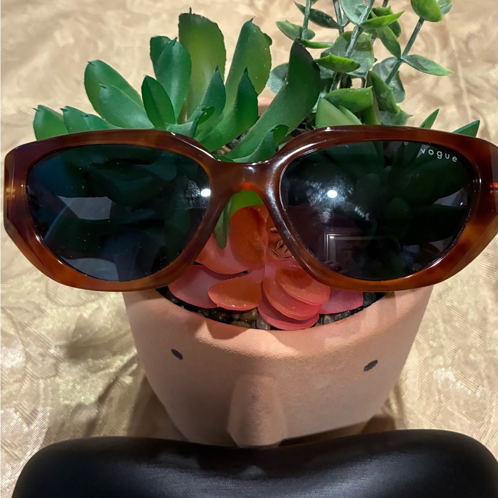 Vogue Amber Hailey Sunglasses with Case